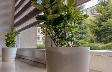 Apartament Olesno Centrum - Foto 14