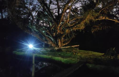 Magia e lazer - Chácara Lucinda - 12km do centro de Morretes - Foto 20