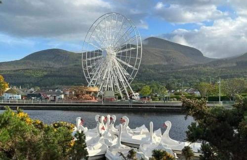 Bryansford Cottage Stables - Foto 21