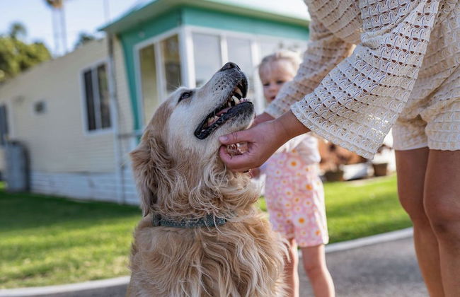 Barlings Beach Holiday Park - Foto 53