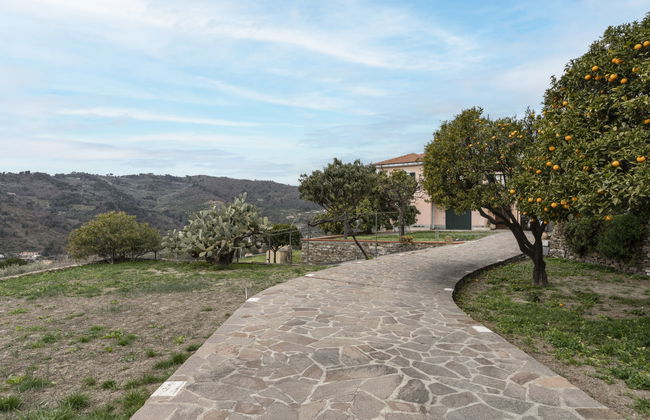 Coty (IMP522) - Foto 24