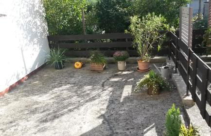 Eulennest-lu - Foto 17