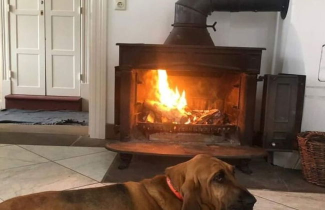 Nice Apartment in Hesse With Relaxation Area - Foto 1