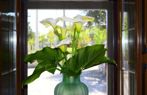 Gorgo Rinaldi - Locazioni brevi - Foto 1