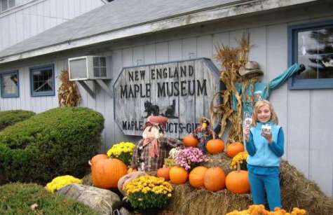 Lovely Log Cabin with Spectacular Mountain Views in Brandon, Vermont - Foto 23