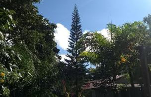 Sítio Via Láctea - Guaramiranga - Foto 65