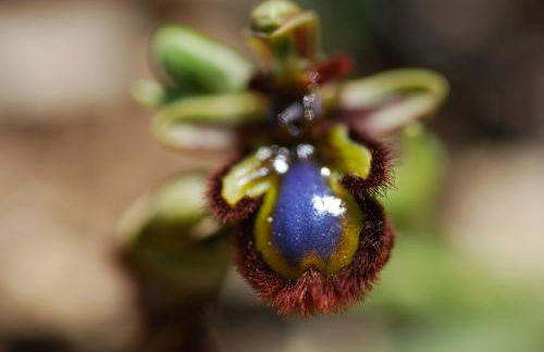 Casa GANCHINHO - Foto 72