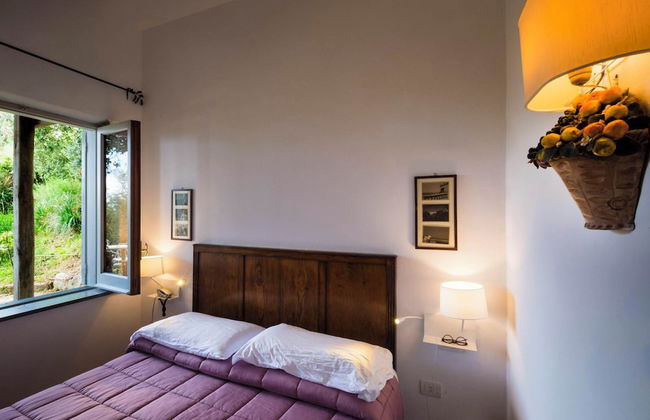 Fattoria Terranova - Foto 61