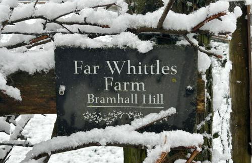 The Lodge - Photo 34