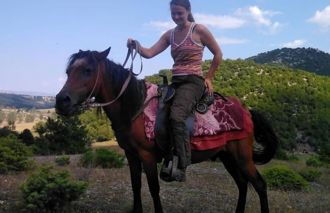 Farma Sotira - Foto 22