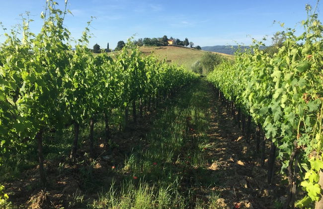 Poggio alla Pietra 26 - Foto 53