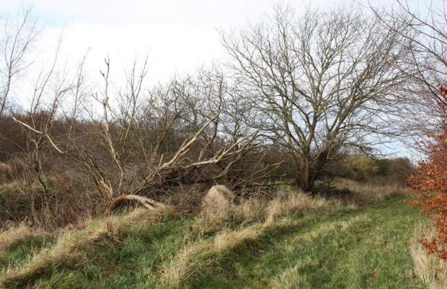 Tranquil Seaside Haven-by Traum - Foto 6