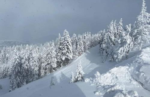 Appartement Fred Chamrousse - Au pied des pistes avec connexion wifi internet haut débit fibre - idéal pour les télétravailleurs - Foto 35