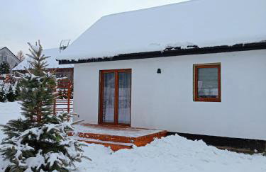 Domek u Gołąbków Bieszczady - Foto 43