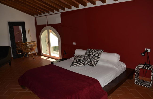 Podere delle Fanciulle - Foto 2