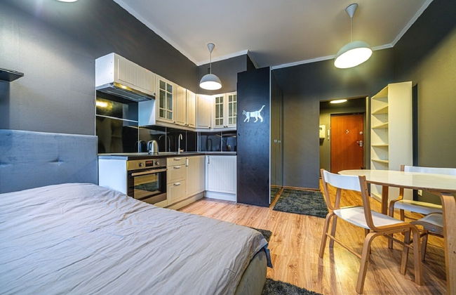 Loft Petrograd Apartment 2 - Foto 4