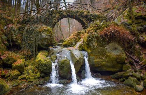 Hiking Roes Nature & Charm - Foto 36