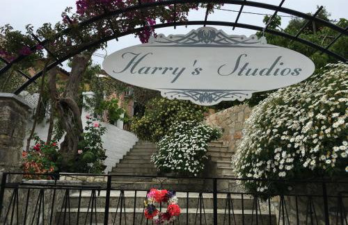 Harry's Studios - Photo 78