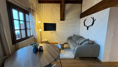 Chalet LE REPAIRE proches des Pistes - Foto 3