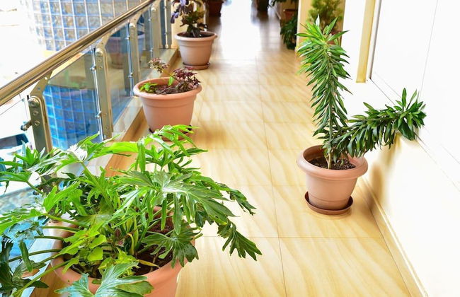 Magnificent Serviced 1 and 2 Bedroom Apartments - Foto 8