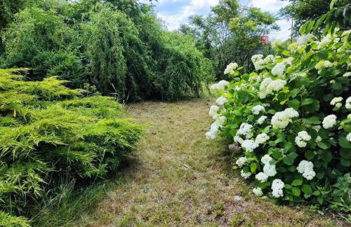 Zielony Domek z dużym tajemniczym ogrodem i rekreacyjną stodołą - Foto 9
