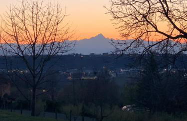 conGusto Apartments - Photo 21