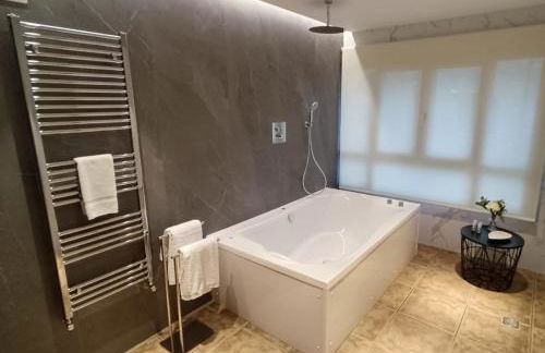 Casas Ordesa y Casa Altemir - Foto 15