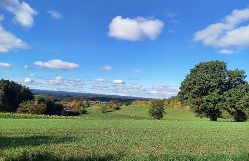 Ferienwohnung am Pinzigberg - Foto 25