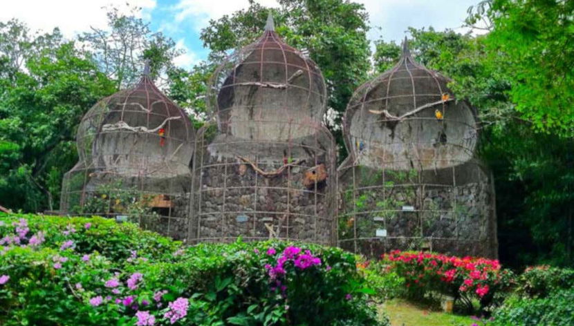 Excursão ao Valle de Antón - Foto 2