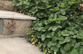 Casa Leonardo a Poggi - Foto 68