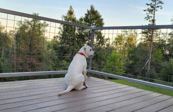 Starlink Mariposa Yosemite mountain retreat - Foto 24