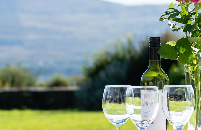 A Split-level Spacious Home With sea Mountain Views - Foto 37