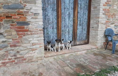 Agriturismo Antica Corte - Foto 24