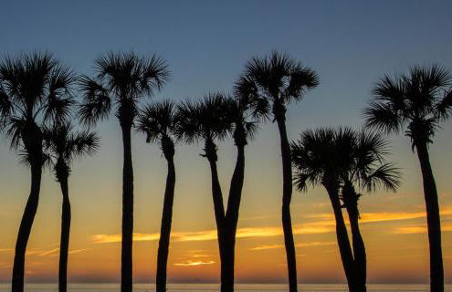 Blue Wave Villa East - Photo 37