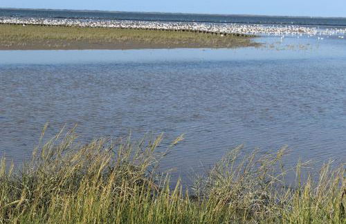 Ferienwohnung Rabenstein - Foto 55