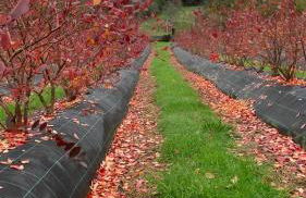 Quinta Vale Salgueiro - Foto 54