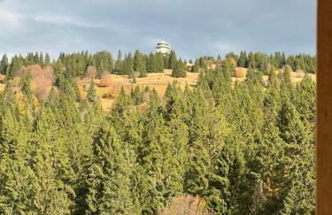 Haus Wiesenquelle, Deluxe-Apartment 'Feld & Berg' - Foto 19