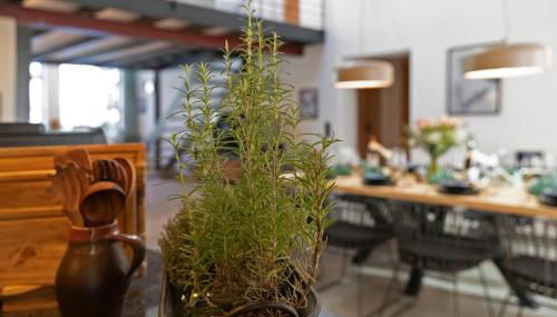 Zur Schmiede - Alploft 1 - Foto 3