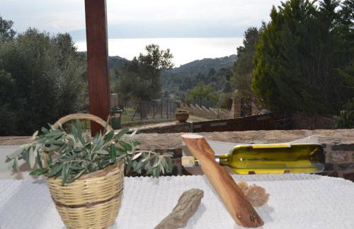 Evia Family House - Foto 24