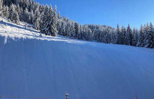 Résidence Ariondaz Hellebore - Superbe appartement exposé Sud au pied des pistes MAE-2554 - Foto 20