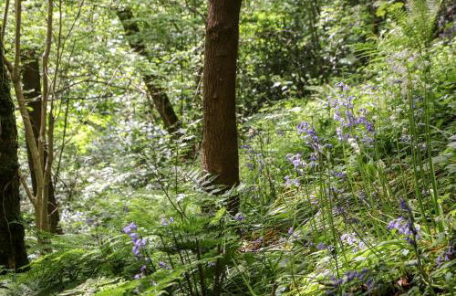 Lands Brow Lodge - Foto 38