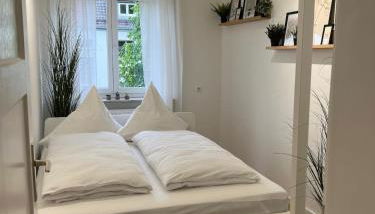 ZORO - 4 Zimmer- Küche - Balkon - Foto 4