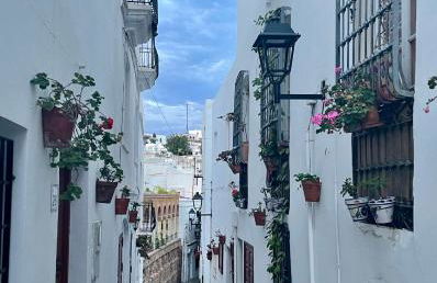 CASA AZUL Mojácar - Foto 49