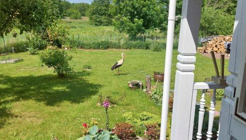 Ferienhaus Storchenwiese, Wald, Strand, Natur - Foto 2