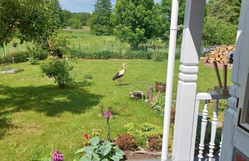 Ferienhaus Storchenwiese, Wald, Strand, Natur - Foto 2