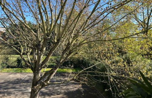 Calme confort sérénité - Foto 10