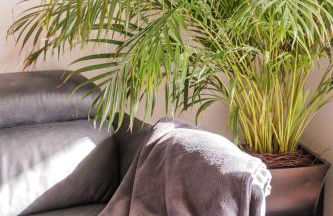 Wohnen im Zentrum - Foto 12