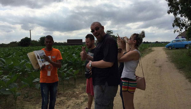 Excursion privée dans la Vallée de Viñales en voiture d'époque - Photo 4