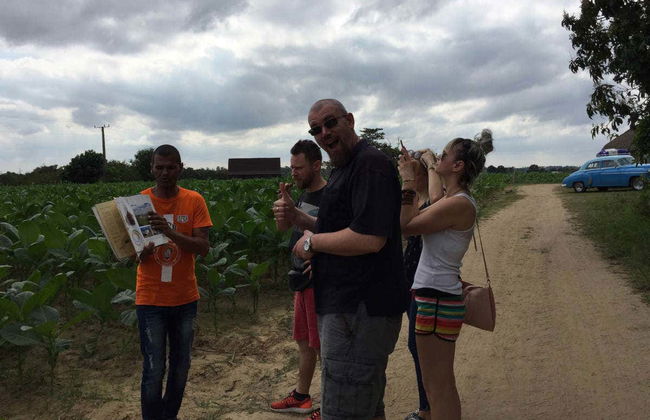 Excursão privada ao Valle de Viñales de carro clássico - Foto 4