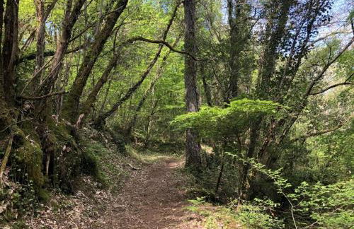 Gîte restauré avec piscine partagée, climatisation, vallée de la Dordogne - FR-1-616-258 - Foto 27